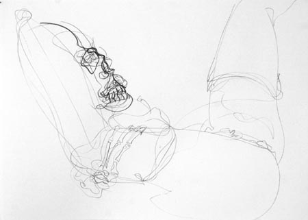 Untitled 006, 2003  pencil and charcoal on paper, 50 x 70 cm